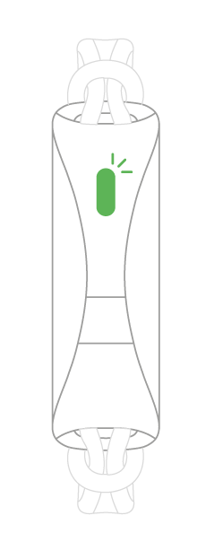 mini_green.png